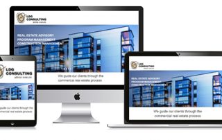 LDG Consulting re-launches website